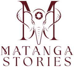 Matanga Stories logo