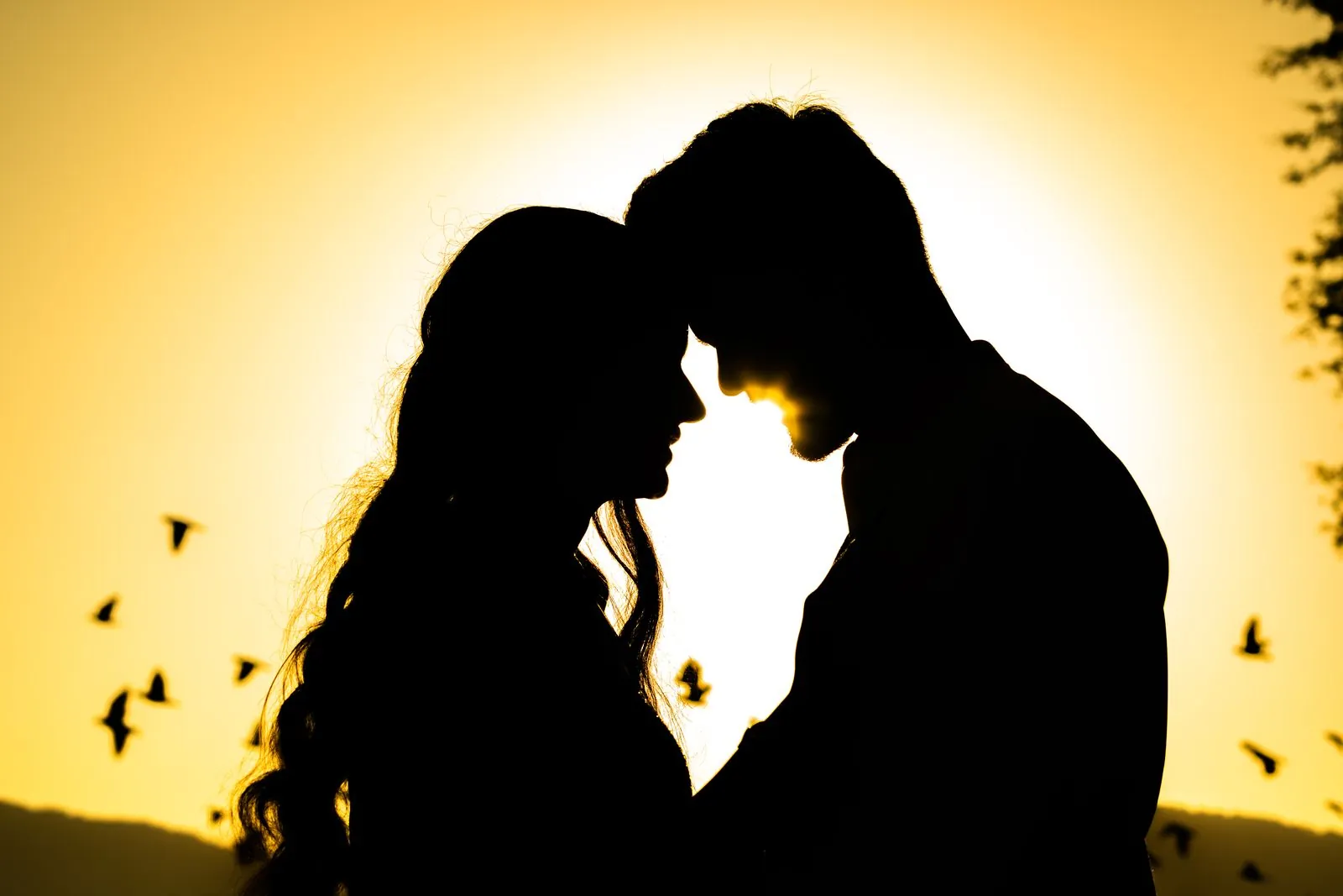 Silhouette of a couple against a golden evening sky